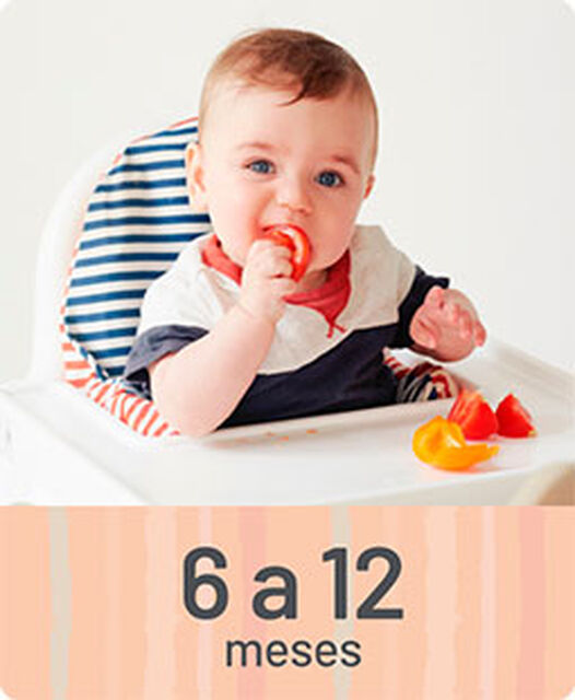 Artículos para bebés de 6 a 12 meses