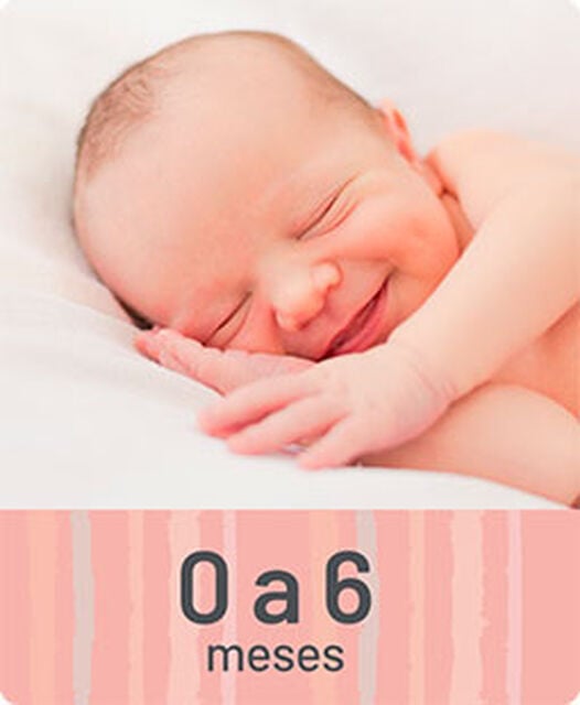 Artículos para bebés de 0 a 6 meses | Compra en Soriana