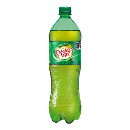 Agua Mineral Canada Dry 1 L Botella image number 0