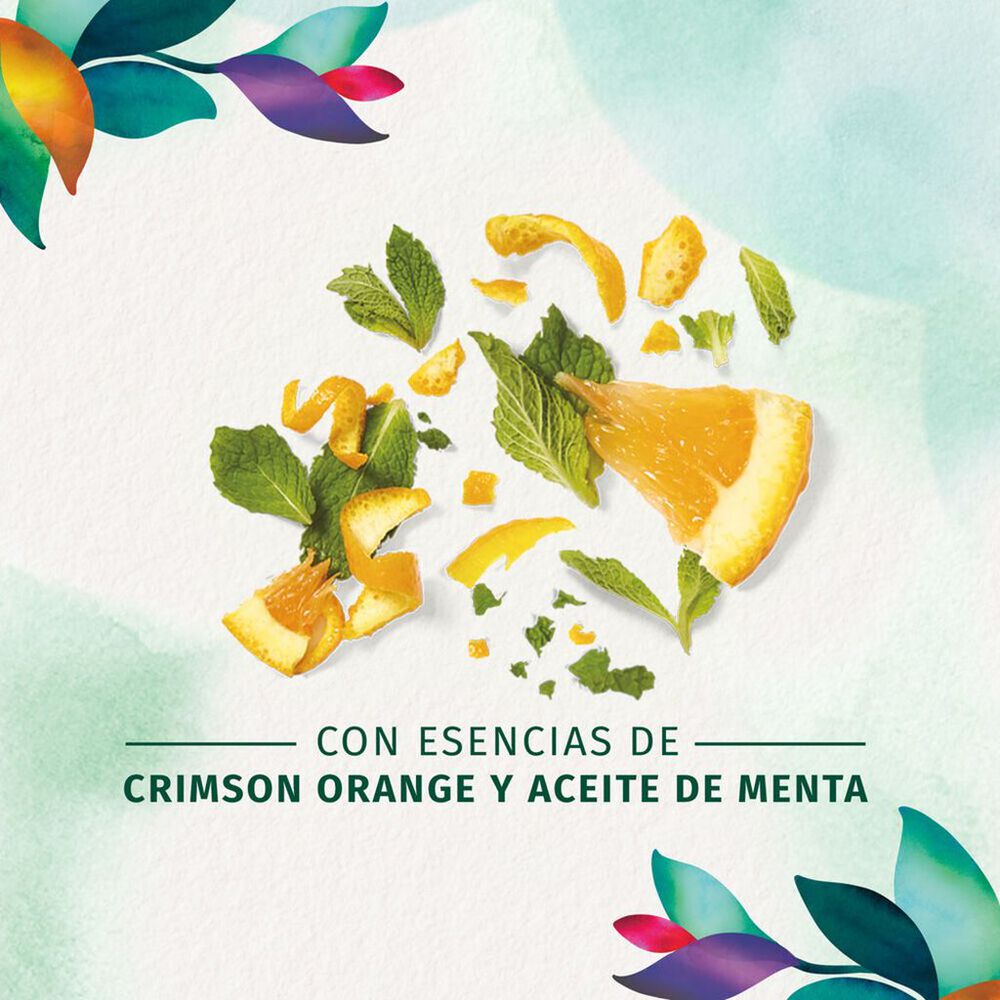 Shampoo Herbal Essences Daily Detox Brillo Crimson Orange & Mint 700 ml image number 3