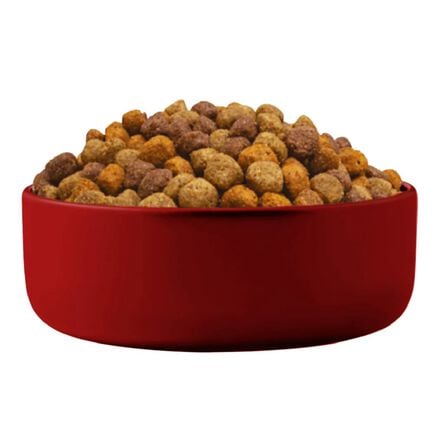 Alimento Seco Para Perro Purina Mainstay 15kg image number 4