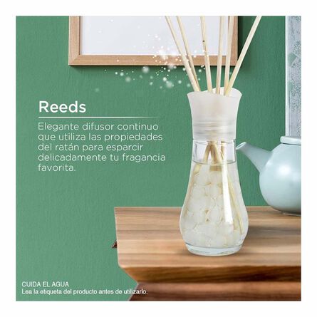 Air Wick® Aromatizante de Ambiente Reeds Diffuser Summer Delights 6 Varitas de Ratán y 30 ml image number 1