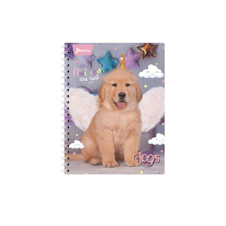 Cuaderno Profesional Norma Dogs Raya 100Hj image number 5