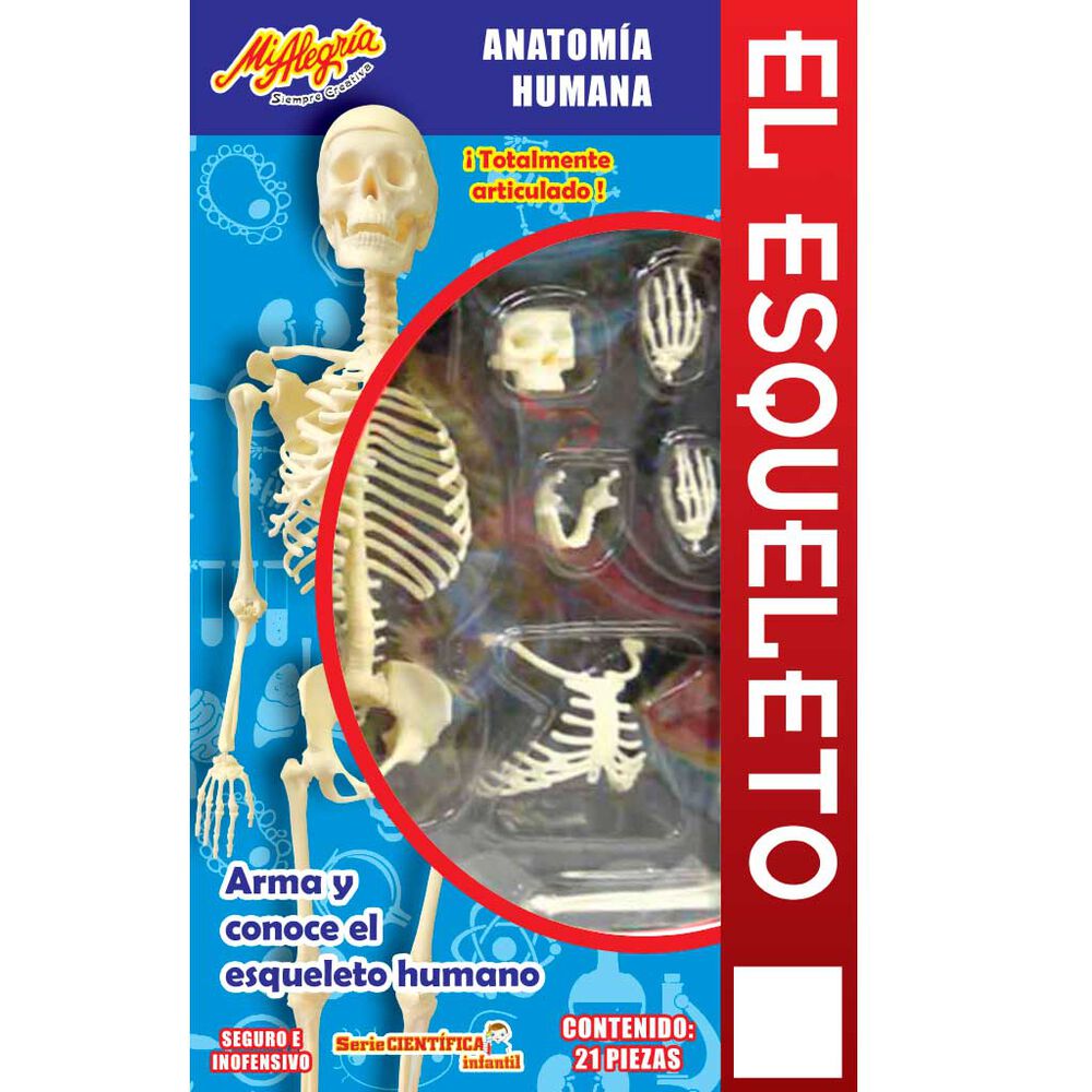 Esqueleto Humano image number 1