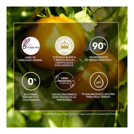 Shampoo Herbal Essences Bio:renew Radiant Shine White Grapefruit & Mosa Mint 400 ml image number 6