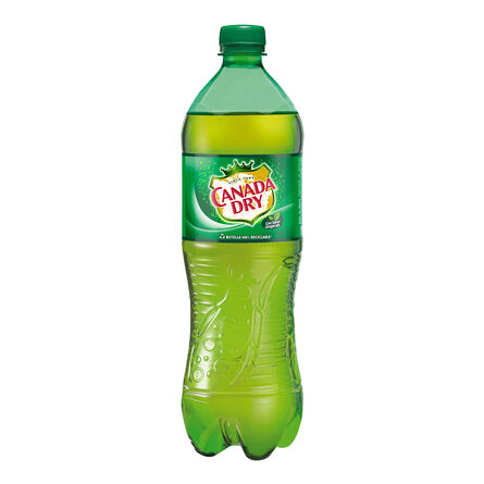 Agua Mineral Canada Dry 1 L Botella image number 2