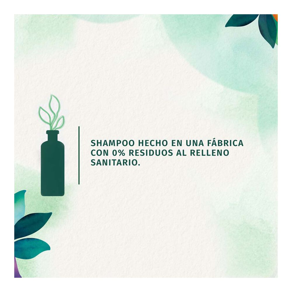 Shampoo Herbal Essences Daily Detox Hidratación 700 ml image number 3