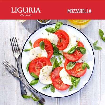 Queso Mozzarella Liguria 250 Gr image number 3