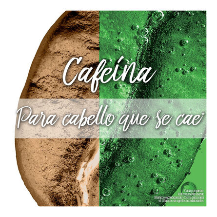 Shampoo Garnier Fructis Stop Caída Cabello que se Cae 650 ml image number 3