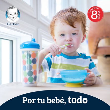 Cereal Infantil Gerber Etapa 3 Trigo Manzana Integral 270g image number 5