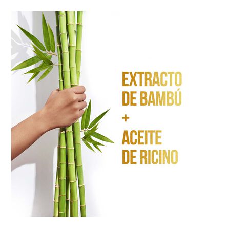 Shampoo Pantene Pro-V Bambú Nutre & Crece 200 ml image number 3