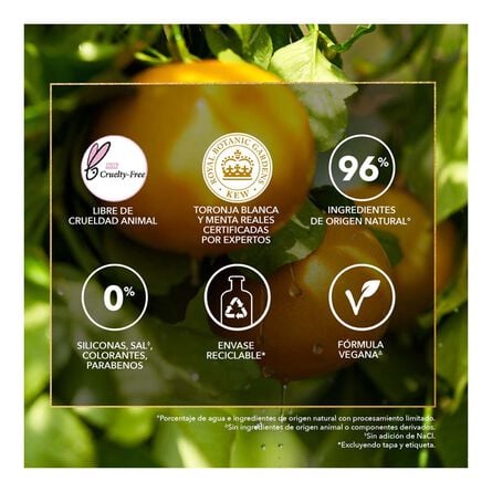 Herbal Essences Bio:Renew Toronja & Aloe 300 ml image number 5