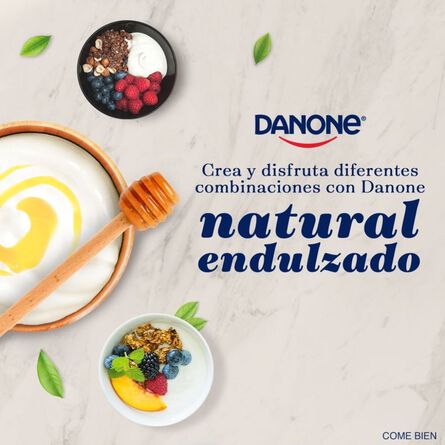 Yoghurt Danone Natural con Miel de Abeja 900g image number 3