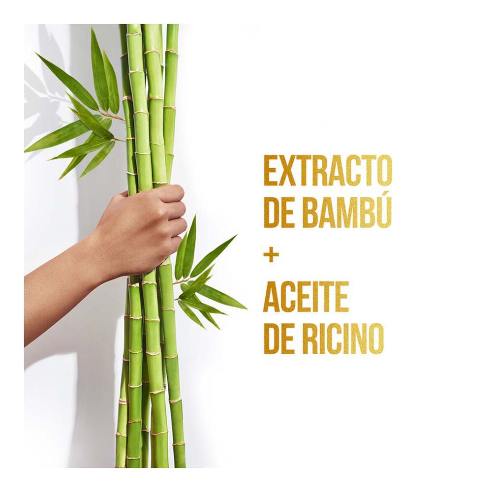 Shampoo Pantene Pro-V Bambú Nutre & Crece 750 ml image number 2