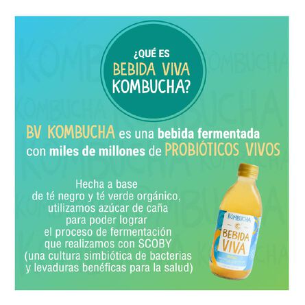 Bebida Viva Kombucha Original 355 ml image number 3