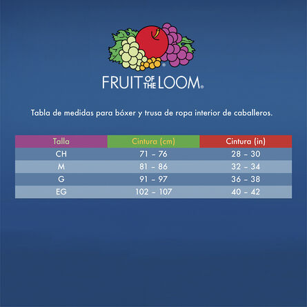 Trusa Fruit Of The Loom 4P4609M Multicolor G 4 piezas image number 4