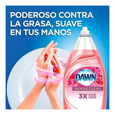 Dawn Gentle Clean Pomegranate & Rose Water Scent Detergente Líquido Lavatrastes 1.20 lt image number 1