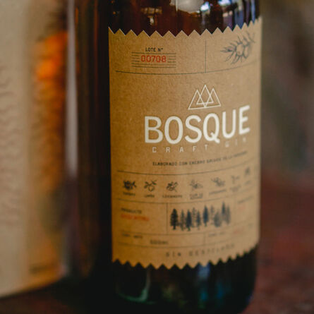 Gin Bosque Nativo 500 ml image number 2
