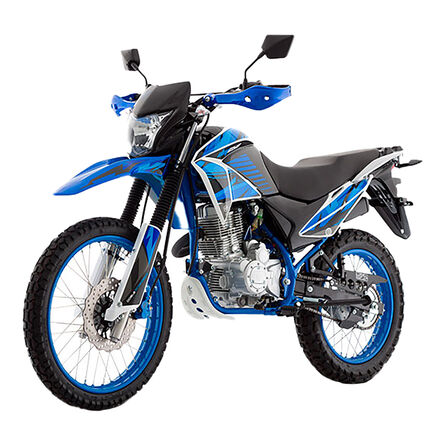 Motocicleta Italika DM250 2021 Azul image number 1