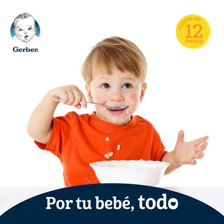 Cereal Infantil Gerber Etapa 4 Trigo Miel Integral 270g image number 5