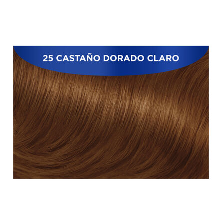 Tinte Miss Clairol Nice ´N Easy 25 Castaño Dorado Claro image number 3