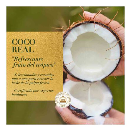 Tratamiento Herbal Essencess BioRenew Coconout Milk 300 ml image number 3