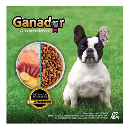Alimento para perro Ganador Premium 20 Kg Adulto Razas Pequeñas image number 3