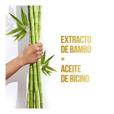 Shampoo Pantene Pro-V Bambú Nutre y Crece 750 ml image number 4