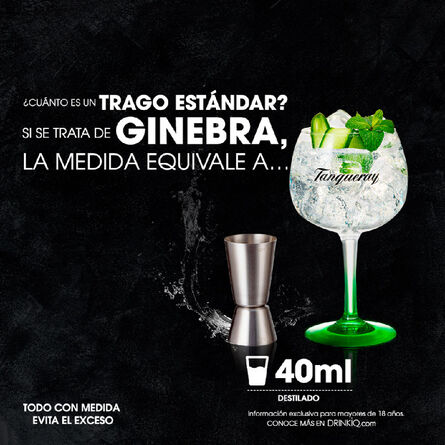Ginebra Tanqueray London Dry 750 ml image number 5