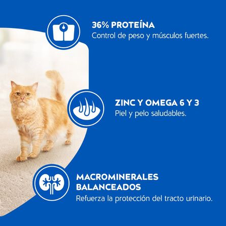 Purina Cat Chow Esterilizados con Defense Plus Alimento seco para gatos adultos, bulto de 1.5kg image number 3