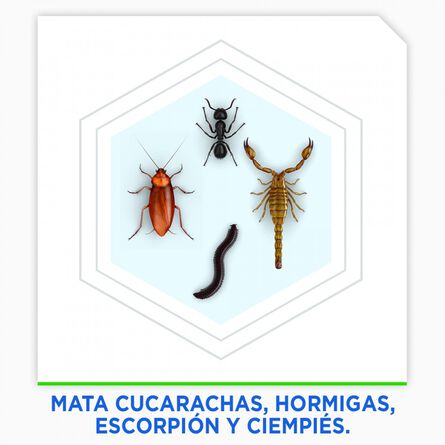 Insecticida Raid Max Aerosol Mata Cucarachas e Insectos Eucalipto 400 ml image number 2
